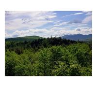 Jigsaws 1500 Pieces for Adults Challenging Game-Mountains,Trees,Nature,Aerial View,Landscape 87x57cm