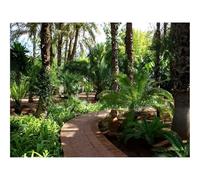 Jigsaws 1500 Pieces for Adults Challenging Game-Path,Fern,Turn,Garden 87x57cm