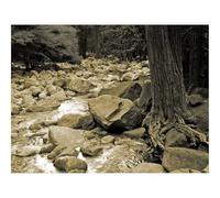 Jigsaws 1500 Pieces for Adults Challenging Game-Stones,River,Tree,Roots,Trunk 87x57cm