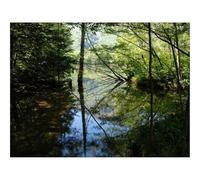 Jigsaws 1500 Pieces for Adults Challenging Game-Wood,Lake,Trees,Water,Reflection,Shadows 87x57cm