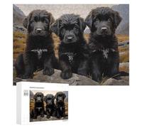 Jigsaws 300 PCS for Adults Newfoundland Dog Puppies Jigsaw Puzzle Brain Teaser Game Presents for Women Fun Activities at Home 300 PCS