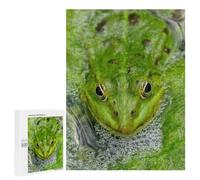 Jigsaws 500 PCS for Teenagerss Green Frog in Pond Jigsaw Puzzle Brain Teaser Game Stress Reliever Challenging To Complete 500 PCS