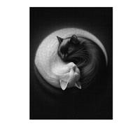 Jigsaws 500 PCS for Teenagerss Purrfect Harmony Jigsaw for Adults Brain Teaser Game Analysis And Logic Gifts for Friends And Family 500 PCS