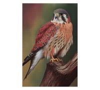 Jigsaws 75x50cm/1000pcs for Adults American Kestrel Falcon Puzzles for Adults Hands-on Game Pattern Assembly Christmas Birthday Gifts 75x50cm/1000pcs