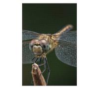 Jigsaws for Adults 75x50cm/1000pcs Dragonfly Close-Up on Twig Jigsaw Puzzle Family Games Difficult Hard Deal As Gifts for The Whole Family 75x50cm/1000pcs