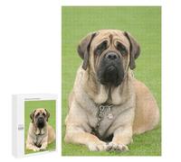 Jigsaws for Adults1000 PCS English Mastiff Jigsaw Puzzle Brain Teaser Game Analysis And Logic Deal As Gifts for The Whole Family 1000 PCS