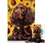 Jigsaws for Adults1000 Pieces Boykin Spaniel in Sunflower Field Flawless Fit Art Mental Skill Game Rest Time Play Birthday Art Play (50x75cm)