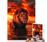 Jigsaws for Adults1000 Pieces Lion in Sunset Waters- Educational Games Suitable for Couples Toy Wall Decor Help The Brain Exercise (38X26CM)