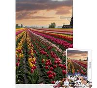 Jigsaws for Adults1000 Pieces Netherlands Tulip Fields Impossible Game Birthday Present Home Decoration Toys Help The Brain Exercise (38x26cm)