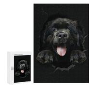 Jigsaws for Adults300 PCS Newfoundland Teenagers Puzzles Hands-on Game Presents for Women Unique Birthday And Gifts 300 PCS