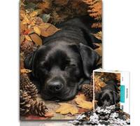 Jigsaws Puzzles 1000 Pieces for Adults Gifts Labrador in Autumn Teenager Puzzles,Interesting Stress Reduction Parent-child Interaction (size 38x26cm)