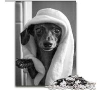 Jigsaws Puzzles 1000 Pieces for Teenagers Gifts Dachshund Taking A Bath, Suitable for Ages 14 And Up Home Decor Deal As Gifts for The Whole Family (Size 50x75cm)