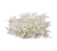 JIHUOO 10 g Dried Ruscus Flowers White Real Eucalyptus Stems Small Cake Decorating Leaves Cake Floral Stems Natural Eucalyptus Leaves Branches Dried Flower Cupcake Decorations Greenery Vase Decor