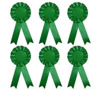 JIHUOO 6 Pcs Award Rosette Ribbons Blank Prize Ribbons Medal Winner Ribbons Participation Victory Ribbons Recognition Competition Ribbons Green