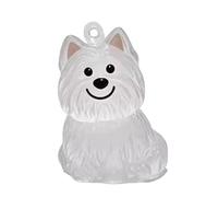 jiingekk 1/6Pcs Pet Hair Storage Keychain Memorial Container Dog Furs Collector Pendants Case For Loss Remembrances Gift Clear Hair Keepsakes Keychain Holders
