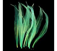jiingekk Aquarium Artificial Kelp Soft Silicone Plant Move With Water Flows 7 Inch High Realistic Seaweed Fish Tanks Decorations Silicone Seaweed Kelp Decor Realistic Fish Tanks Ornament Decorations