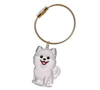 jiingekk Dog Hair Memorial Box Keychain With Clear Display Box Pet Hair Storage Case For Loss Remembrance Ashes Container