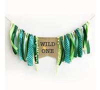 jijAcraft Wild One Banner Bunting, Green 1st Birthday Decorations Banner, 2.5 m Ribbon Flags Highchair Banner for Baby's First Birthday Decorations