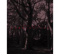 Jiko Keno to Ano Hi Mita Hikar