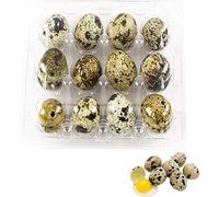 Jilijia 50pcs Quail Egg Storage Box - Transparent PVC Rectangular Carton for Quail Eggs - 12/18/20 Grids - Modern Design - Portable - No Lid - Bathroom Use