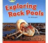 Jill McDougall Bug Club Guided Non Fiction Year 1 Green C Exploring Rock Pools Jill McDougall Multicolor