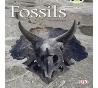 Jill McDougall Bug Club Guided Non Fiction Year Two Gold A Fossils Paperback Book Jill McDougall Multicolor