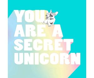 Jill Pickle You Are a Secret Unicorn Hardback Book Jill Pickle Multicolor