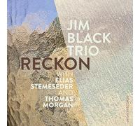 Jim Black Trio - Reckon