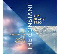 Jim Black Trio - The Constant