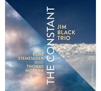 Jim Black Trio : The Constant CD (2016) NEW FREE Shipping, Save £s