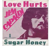Jim Capaldi - Love Hurts - Island Records - 16 388 AT