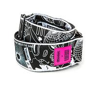 Jim Dunlop I Love Dust Robot Heart