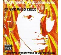 Jim Morrison - Electronic Proclamations Of The Wild Child