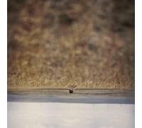 Jim O'Rourke - Hands That Bind (Original Motion Picture Soundtrack) [VINYL]