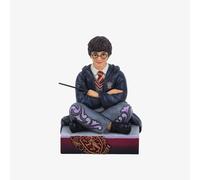 Jim Shore Designs The Chosen One Harry Potter Figurine 6016699
