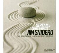 Jim Snidero - Stream Of Consciousness