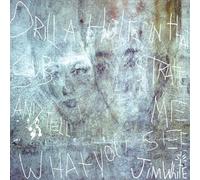 JIM WHITE - DRILL A HOLE IN THAT SUBSTRATE AND TELL ME WHAT YOU SEE [VINYL]