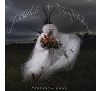 Jim White - Precious Bane [VINYL]