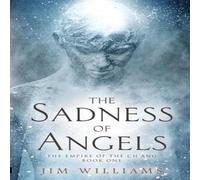Jim Williams The Sadness of Angels Paperback Book Jim Williams Multicolor