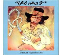 Jimi Hendrix - If 6 Was 9 - A Tribute To Jimi Hendrix