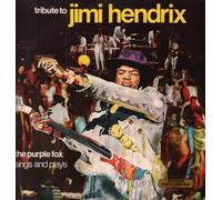Jimi Hendrix - MER340 LP Tribute To Jimi Hendrix VINYL