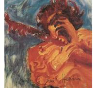 Jimi Hendrix - The Jimi Hendrix Concerts