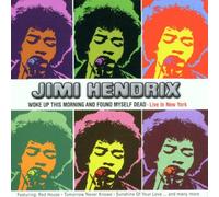 Jimi Hendrix - Woke Up This Morning and Found