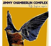 Jimmy Chamberlin Complex - Life Begins Again
