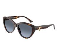 Jimmy Choo JC5007 50028F Woman Sunglasses Acetate Turtle Blue Pantos Normal Shaded