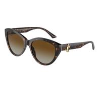 Jimmy Choo JC5007 5002T5 Woman Sunglasses Acetate Havana Brown Pantos Polarized Shaded