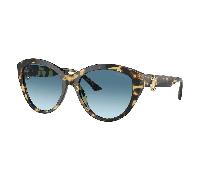 Jimmy Choo JC5007 500419 Sunglasses