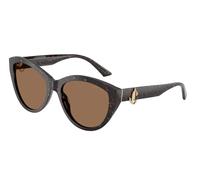 Jimmy Choo JC5007 512573 Woman Sunglasses Acetate Brown Brown Pantos Normal