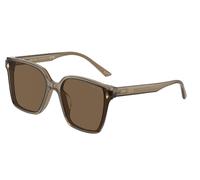 Jimmy Choo Woman Sunglass JC5016D - Frame color: Transparent Brown, Lens color: Dark Brown