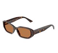 Jimmy Choo JC5021BU 500273 Woman Sunglasses Acetate Turtle Brown Round Normal